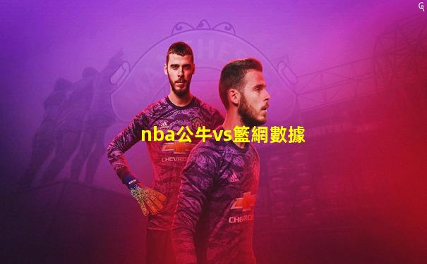 nba公牛vs籃網數據